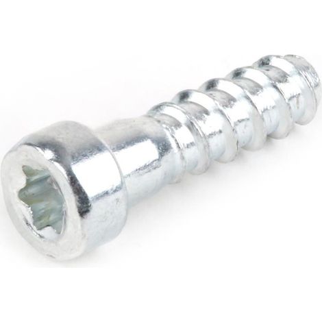 Vis autotaraudeuse de forme cylindrique pour tronçonneuse Stihl 046 MS460