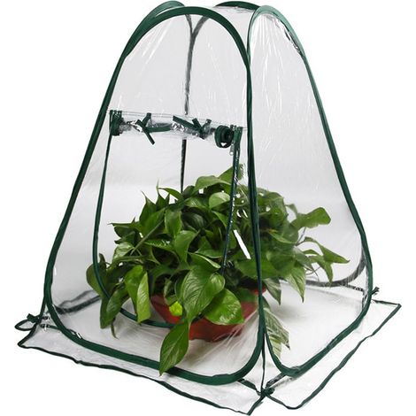 Mini Serre de Jardin, Mini Serre Pop Up, Petite Serre de Jardin, Serre dHivernage en PVC Transparent avec Enroulement pour les Plantes, Ne Nécessite pas dAssemblage (70 x 70 x 80 cm) (1/5)