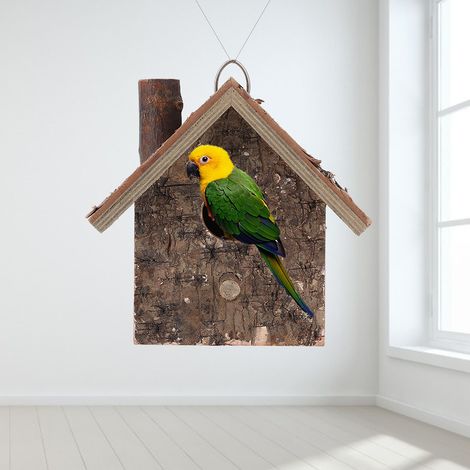 Nichoir suspendu en bois résistant à l'humidité, abri pour oiseaux, accessoires pour animaux de compagnie (1/5)