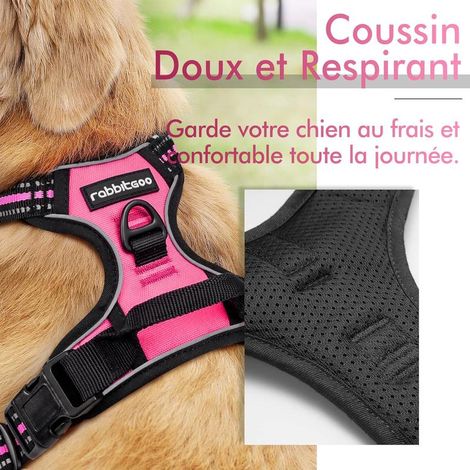 Harnais anti-traction Rabbitgoo S, rouge/rose, réglable et réfléchissant, avec poignée et fixation avant
