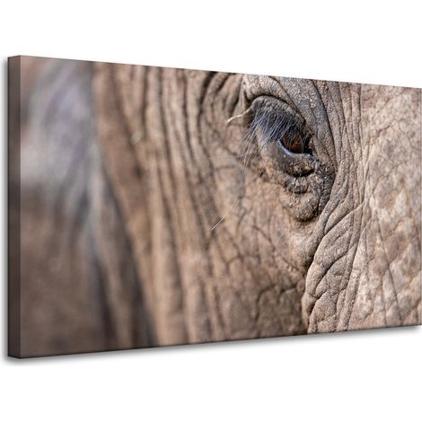 Lienzo impreso con la imagen de un ojo de elefante (100x60 cm).