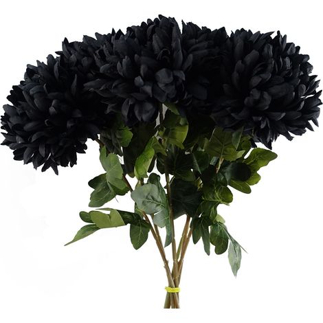 Pack of 6 x 75cm Extra Large Reflex Chrysanthemum - Black (1/5)