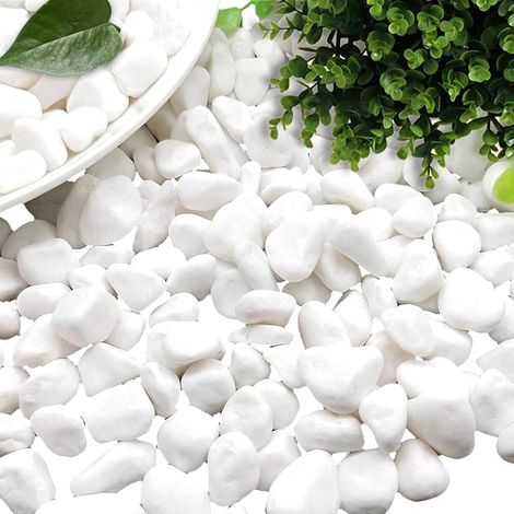 Gravier Blanc - 1000g - Pierre Naturelle - Décoration Jardin et Aquarium - Pour Pots Fleurs et Paysage - 1 à 3 cm (1/5)