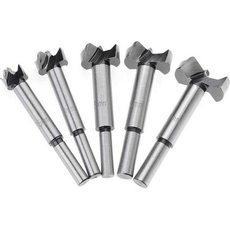 5-teiliges Forstnerbohrer-Set – 15–35 mm – Hochwertiges Flachbohrer-Set aus Stahl – Sechskantschaft – Extra lang – Lochsäge – Holzschneidwerkzeug (1/5)