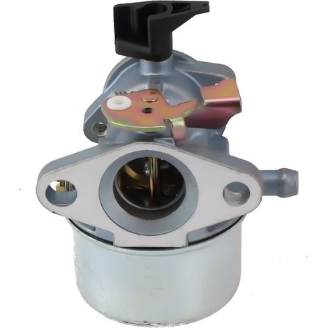 Carburateur de rechange pour modèles de classe supérieure 498965 494216 698056 (1/5)