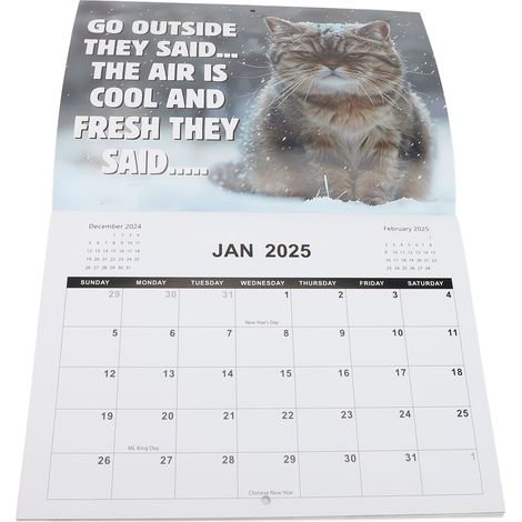 Calendrier 2025 Chat en colère 28,5 x 21 cm - Calendrier mural amusant et original sur le thème des chats, pour les amoureux des animaux (1/5)