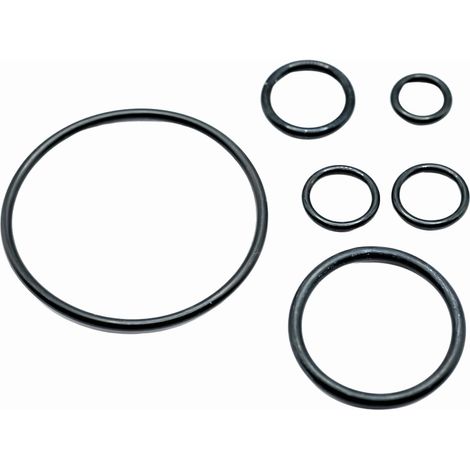 Ensemble de joints toriques compatibles avec pompe automatique 4000/5E, 5000/5E, 6000/6E, parfait pour l'irrigation du jardin, la récolte de l'eau de pluie et l'entretien de la (1/4)