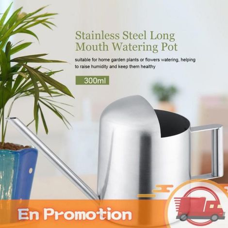 zerone pot d'arrosage Arrosoir En Acier Inoxydable Pour Plantes De Jardin Et Fleurs Pot à Long Bec ] jardin outils 300 ml (1/5)