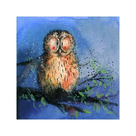 C50 Night Owl Coaster