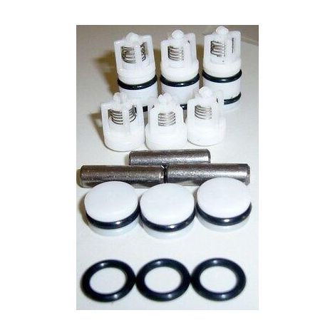 KIT VALVOLE POMPE IDROPULITRICI LAVORWASH ORIGINALI 6.005.0392 (1/2)