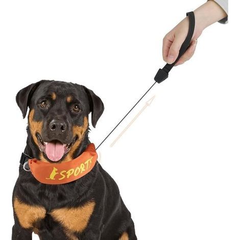 Einziehbares Hundehalsband – All-in-One-Hundehalsband – Integrierte einziehbare Leine, verstellbares Halsband in den Größen Medium und Large (1/3)