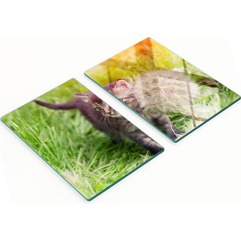 Robuste und stilvolle Glasbretter mit Löwenzahn- und Kätzchenmuster, 2 x 40 x 52 cm (1/5)