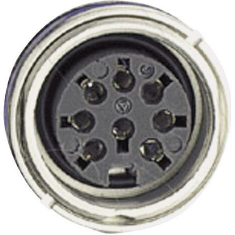 Amphenol C091 31N006 100 2 Cosse cylindrique mâle embase femelle Nombre total de pôles: 6 Série (connecteur rond): C091 1 pc(s) D17465 (1/4)