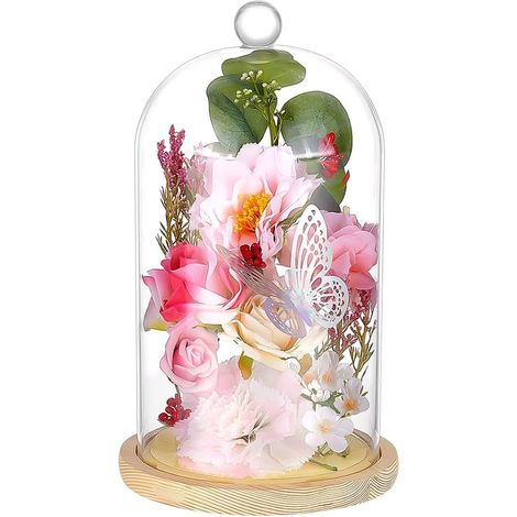 Cloche en Verre Dôme Avec Base en Bois Cloche Bouteilles Vitrine d‘Exposition Dôme d‘Affichage de Terrarium Transparent Avec Poignée Supérieure pour Plantes et Fleurs17.2x30cm (1/5)