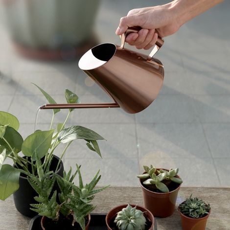 Arrosoir domestique en acier inoxydable pour plantes vertes et fleurs, pot de jardin, bouilloire couleur bronze (1/5)