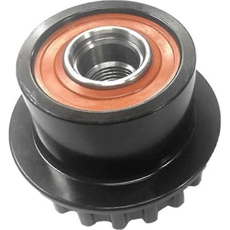 Überlastschutzrolle für Lichtmaschine/Generator LR001470 LR025968 für Land Rover Freelander 2 und Volvo S80 V70 (1/5)