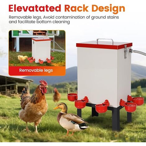 Chicken Drinker Stainless Steel Poultry Water Dispenser Hose Water Cups Water Feeder Holder (1/4)