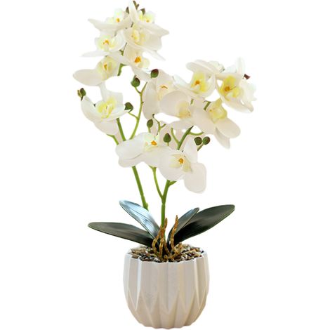 Plante Artificielle - Phalaenopsis Simulée - Pot Plastique - Décoration Intérieure Maison Bureau Café - 1 Pièce (1/5)