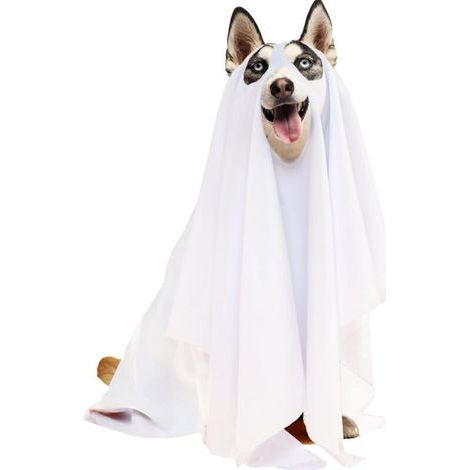 Halloween ghost dog costume (white)