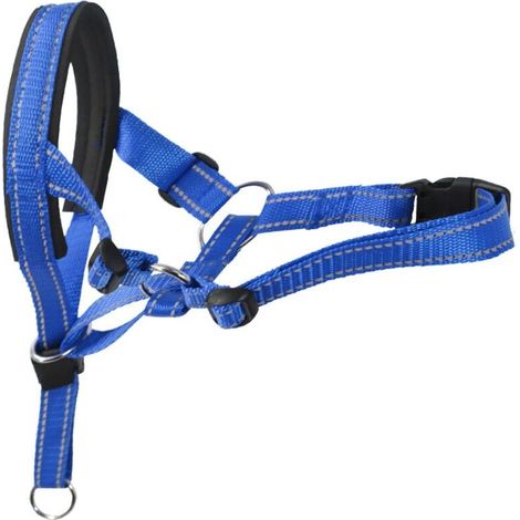 Muselière pour animaux de compagnie, 36-50 cm, bleue