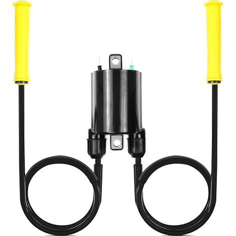 Bobine d'allumage – Réf. 30700-MEA-671 – Compatible VT1300 / VTX1300 (1/4)