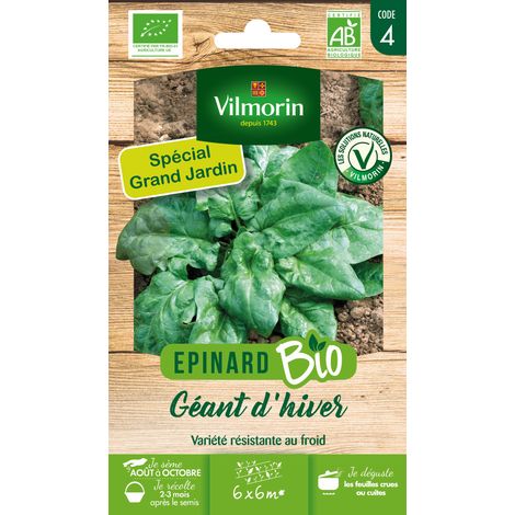 Epinard Géant d'Hiver - BIO - Grand Modèle Vilmorin (1/2)