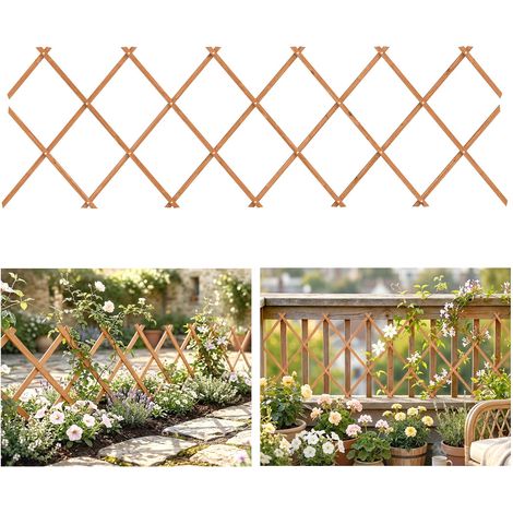 Tuteur extensible en bois pour plantes grimpantes, rosiers et vignes, 180 x 60 cm, marron clair (1/4)