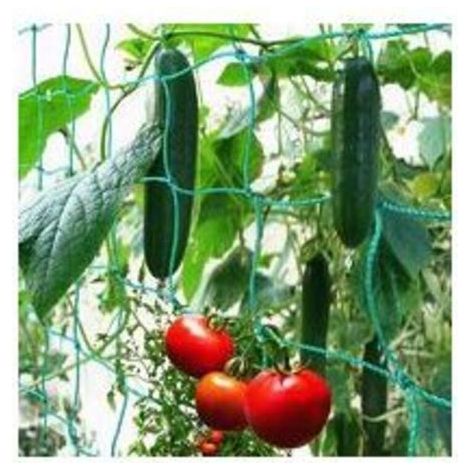 Red de enredadera con malla ancha para una cosecha óptima de pepinos, tomates y otras hortalizas y plantas trepadoras – Dimensiones: 1.8x2.7m (1/4)