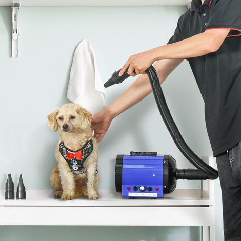PawHut Séchoir professionnel sèche-poils toilettage pulseur sèche-cheveux pour chiens chats animaux 2800W vitesse et température réglable 3 buses interchangeables incluses bleu