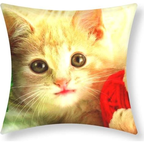 Housse de coussin - AVIZAR - Lot de 2 - 40x40 cm - Motif Chaton - Multicolore - Synthétique (1/5)