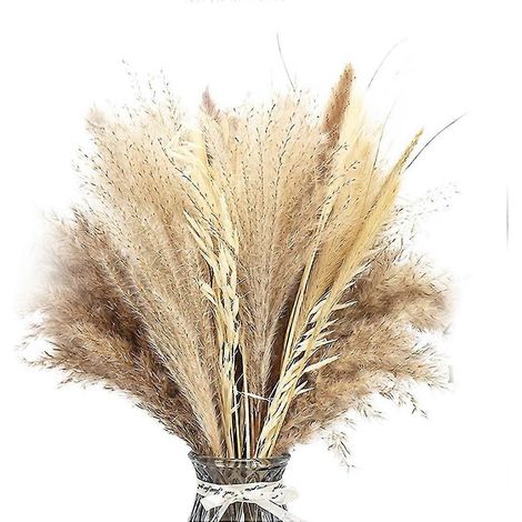Herbe de pampa séchée naturelle, 65pcs Grande herbe de pampa Décor Grand, herbe pompeuse fleurs de mariage, moelleux (1/5)