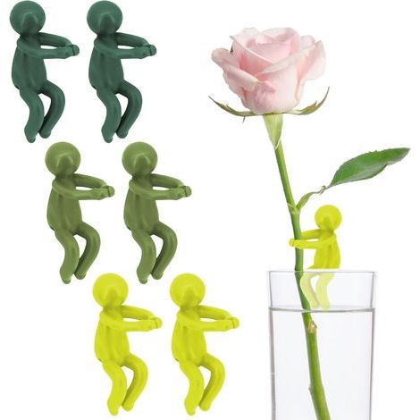 Ensemble de 6 plateaux de multiplication, support de propagation, étagère de culture pour plantes d'intérieur, décoration de vase, station de culture pour pousses, tiges, jeunes pousses et boutures (1/5)