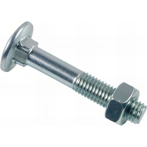 Boulon tête ronde collet carré 12 x 160 mm Zingué - Boite de 25 pcs - Fixtout BTRCC1216002B (1/2)