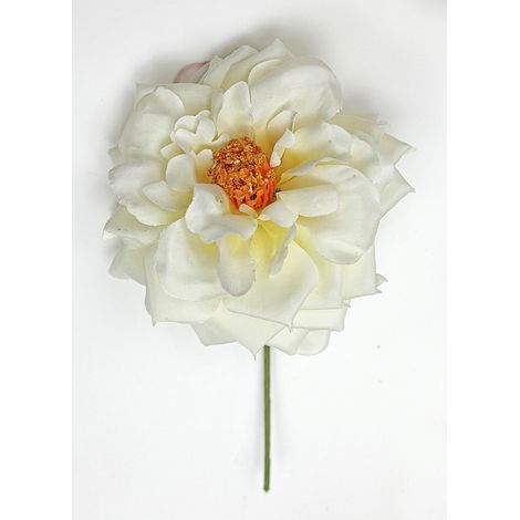 Linea Due Elle Rosa Spray D 11 Cm con Gambo Beige 6 Pz