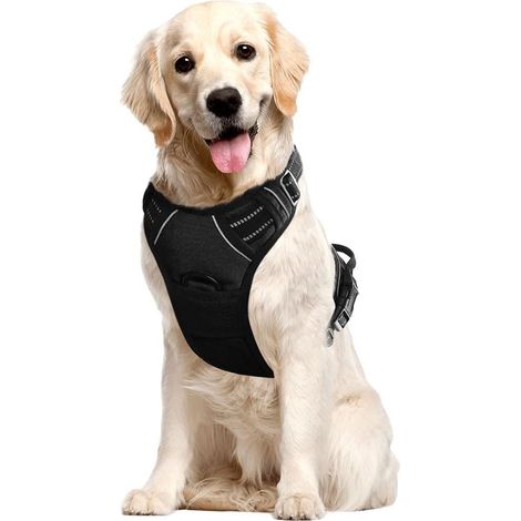 Filiyano-Harnais pour chien taille moyenne (L) - 2 points d'attache pour la laisse, bande réfléchissante, système de fermeture rapide simple - Tour de (1/5)