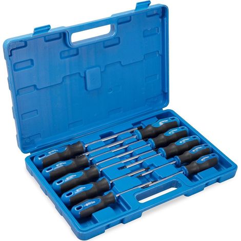10tlg Torx Schraubendreher Set magnetisch mit Mittelloch, Chrom-Vanadium-Stahl (1/5)