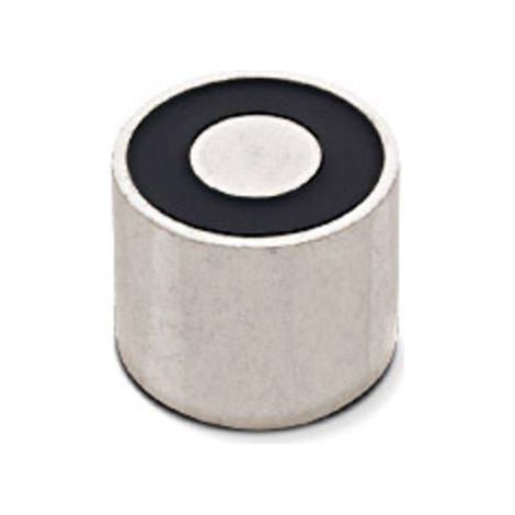 Intertec Elettromagnete magnetico (stato in assenza di corrente) 120 N 12 V/DC 7 W ITS-PE-2529-12VDC