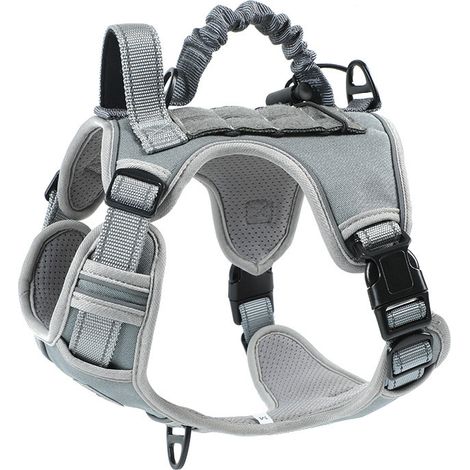 Harnais Chien Anti-Traction Grande Taille XL (35-60 kg) – Gilet de Sécurité Anti-Fuite avec Laisse Rétractable Intégrée, Vêtement de Dressage Respirant et Confortable pour Gros Chiens, Gris