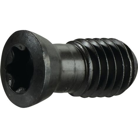 Vis de serrage taille T15 p. taille panneau SPMT 1204.. M4 longueur de filetage 10,5 mm adapté à fraise pour rainures en T
