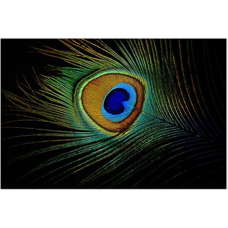 Affiche Paon bleu - 60x40cm - made in France (1/5)