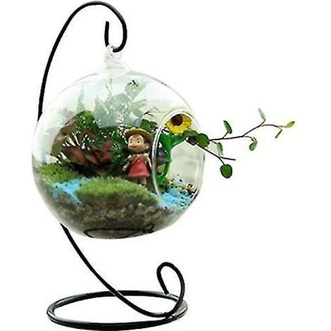 1 Stück Hängendes Pflanzenterrarium