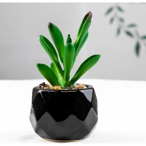 FLEUR-PLANTE ARTIFICIELLE - FLEUR SECHEE Succulentes artificielles naturelles soins faciles style-35 (1/3)