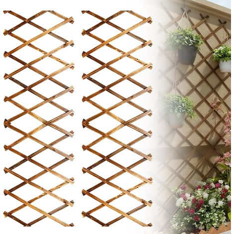 Set of 2 Expanding Trellis Garden Trellis Expandable, 180 x 0.7 x 30 cm Extendable Fence for Climbing Plants, Garden Fencing for Bedroom, Gardens, Terrace (1/5)