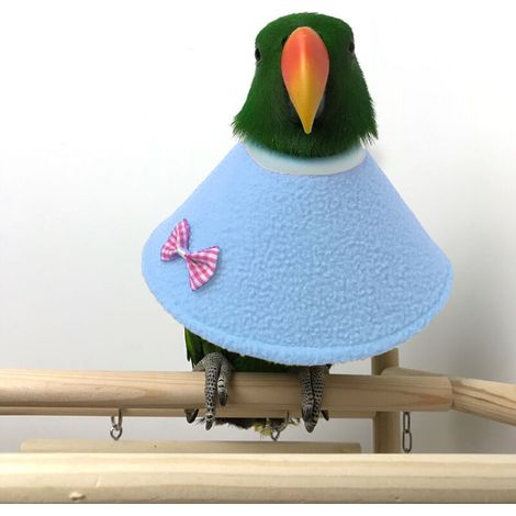 Vogelmantel Papageienschutzkragen Halskrause Genesungshalsband Vögel