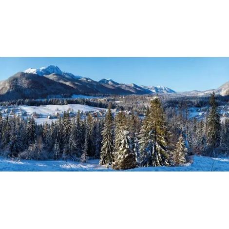 Maxi-Poster Winter Village 300x150 cm aus hochwertigem antireflektierendem Stoff (1/5)