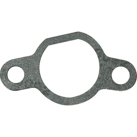 Joint d'admission entretoise thermique moteur tondeuse 170430101-0001