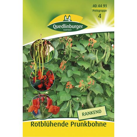 Quedlinburger Rotblühende Punkbohnen - Gemüsesamen (1/2)