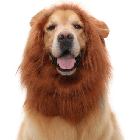 Disfraz de león para mascotas marrón L x 3 modelo 18