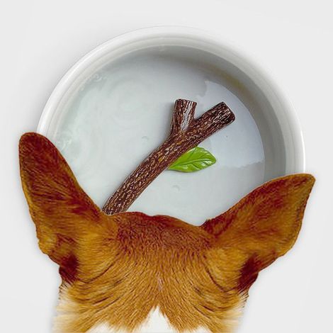 Suck UK dog water bowl 17.7 x 6.2 cm white ceramic (1/4)