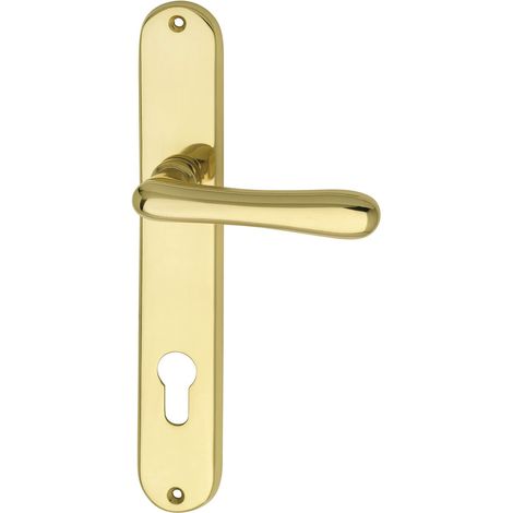 Poignée de Elegant 22 sur plaque longue Cylindre profilé Distance Pour épaisseur de porte 38–43 mm, 88 mm, laiton poli (1/4)